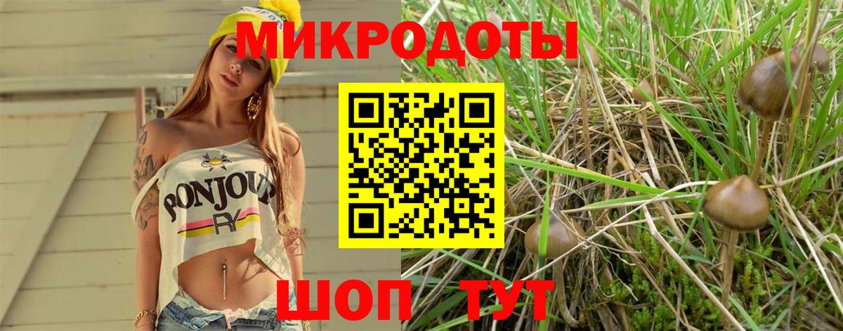 Галлюциногенные грибы мицелий  Вход с VPN  что такое   Горно-Алтайск 
