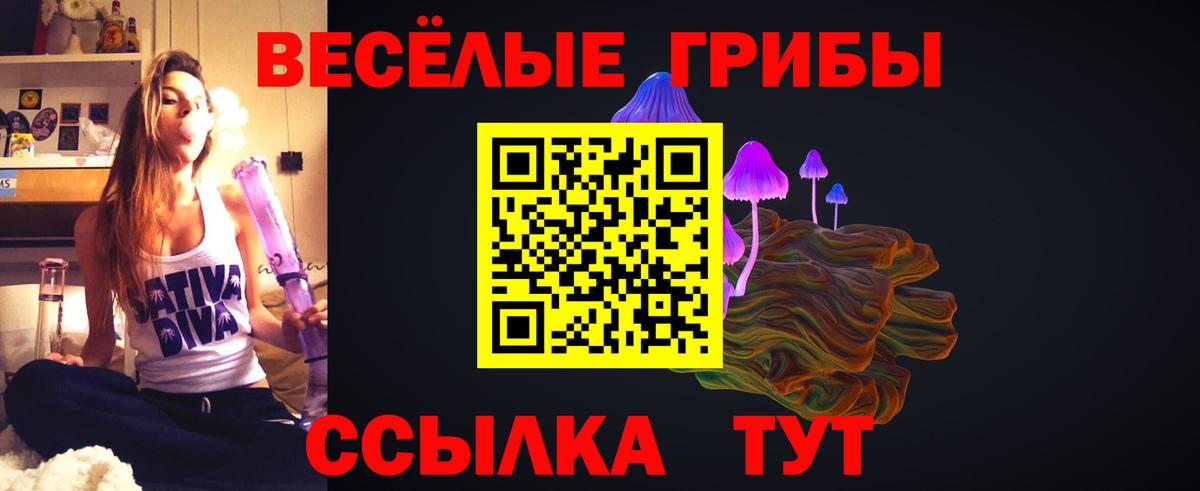 Галлюциногенные грибы Psilocybine cubensis Горно-Алтайск